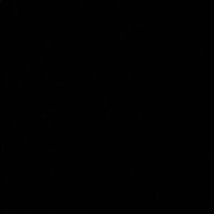 Meet your Posher, Thi